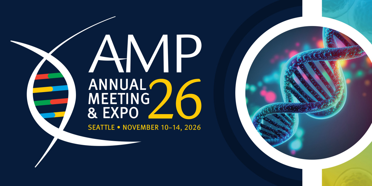 AMP 2026
